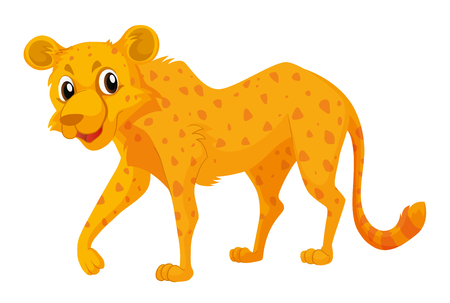 Cute cheetah on white background illustrationのイラスト素材