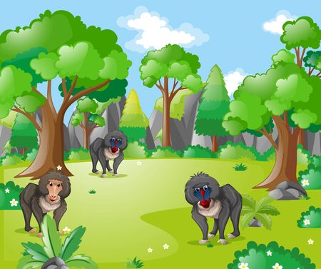 Baboon monkeys in the forest illustrationのイラスト素材
