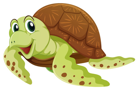 Sea turtle with happy face illustrationのイラスト素材