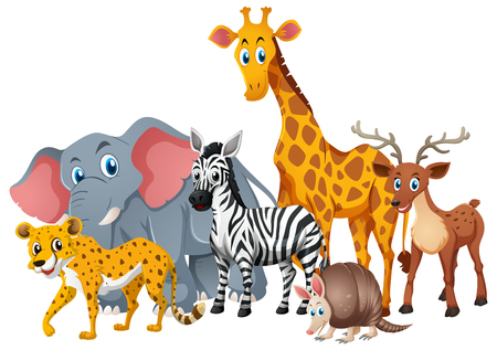 Wild animals together in group illustrationのイラスト素材