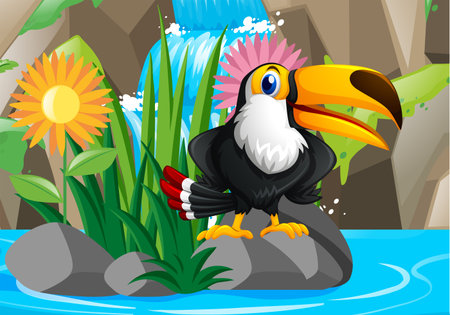 Toucan bird by the waterfall illustrationのイラスト素材