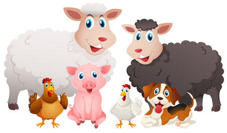 Different types of farm animals illustrationのイラスト素材