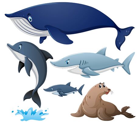 Sharks and other sea animals illustrationのイラスト素材