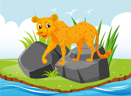 Cheetah tiger on the rock illustrationのイラスト素材