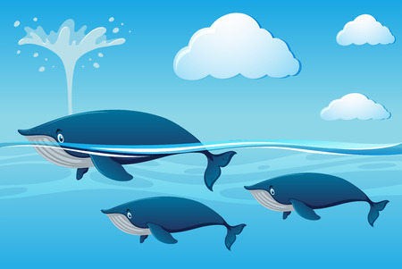Three whales swimming in ocean illustrationのイラスト素材