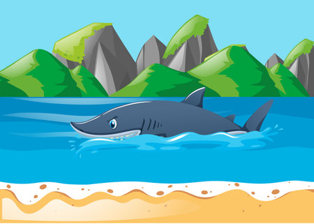 Shark swimming in the ocean illustrationのイラスト素材