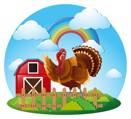 Wild turkey on the farm illustrationのイラスト素材