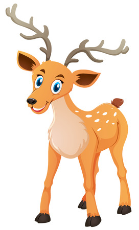Little deer on white background illustrationのイラスト素材