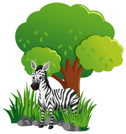 Zebra in the garden illustrationのイラスト素材