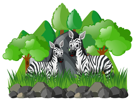 Two zebras in the forest illustrationのイラスト素材