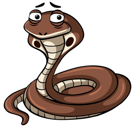 King cobra snake on white background illustrationのイラスト素材