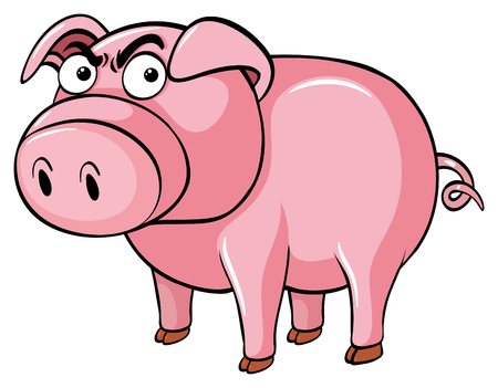 Pig with angry face illustrationのイラスト素材
