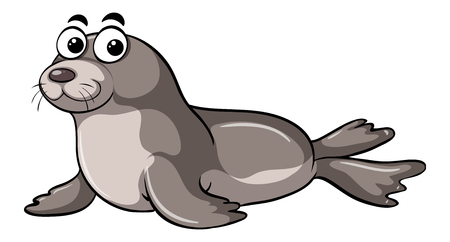 Cute seal on white background illustrationのイラスト素材