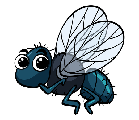 Housefly flying on white background illustrationのイラスト素材