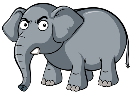 Gray elephant with serious face illustrationのイラスト素材
