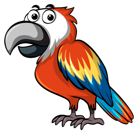 Red parrot on white background illustrationのイラスト素材
