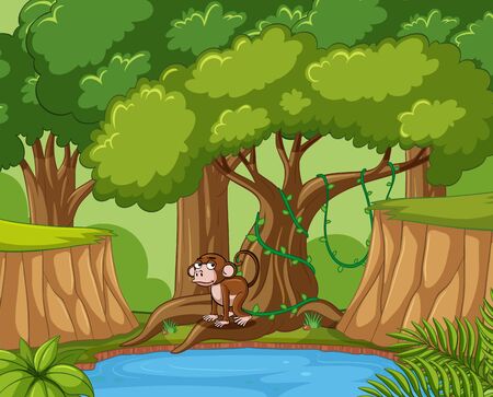 Monkey lives in the forest illustrationのイラスト素材