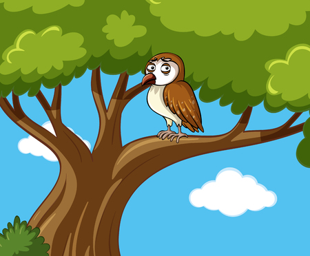 Brown owl on the branch illustrationのイラスト素材