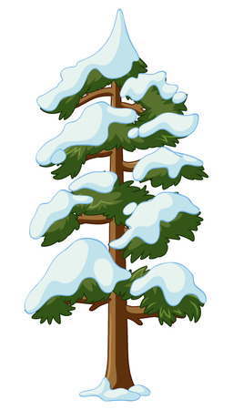 Pine tree covered with snow illustrationのイラスト素材