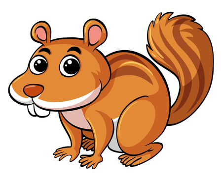 Cute squirrel on white background illustrationのイラスト素材