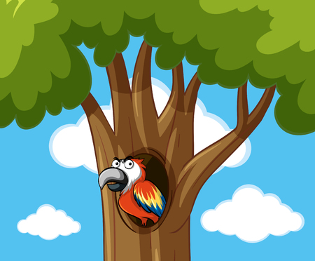 Parrot bird in the hollow tree illustrationのイラスト素材