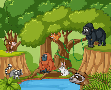 Many wild animals in forest illustrationのイラスト素材