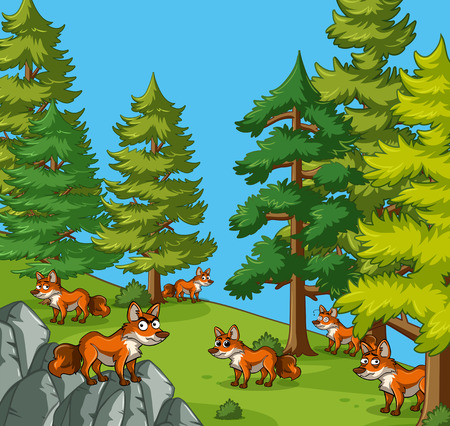Many wolves on the mountain illustrationのイラスト素材