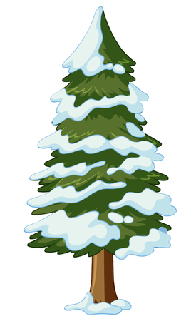 Pine tree covered with snow illustrationのイラスト素材