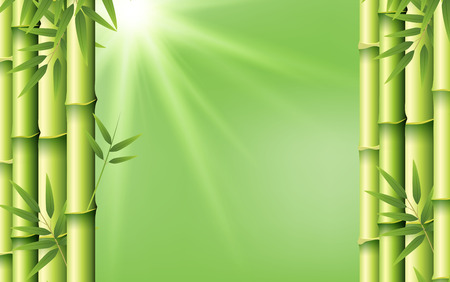 Bamboo on green background illustrationのイラスト素材