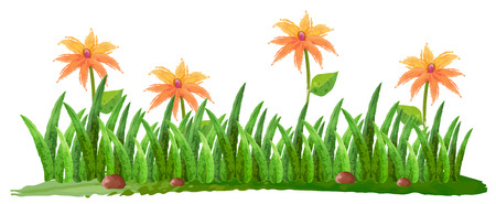 Watercolor painting of flowers in garden illustrationのイラスト素材