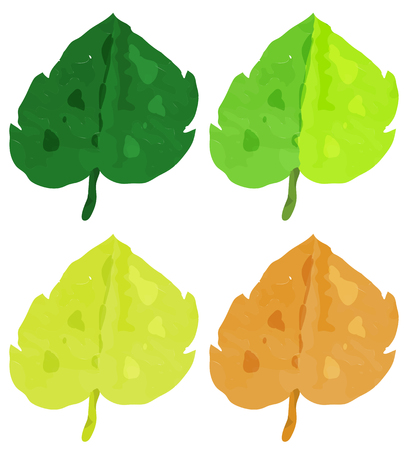Watercolor painting for leaves in different seasons illustrationのイラスト素材
