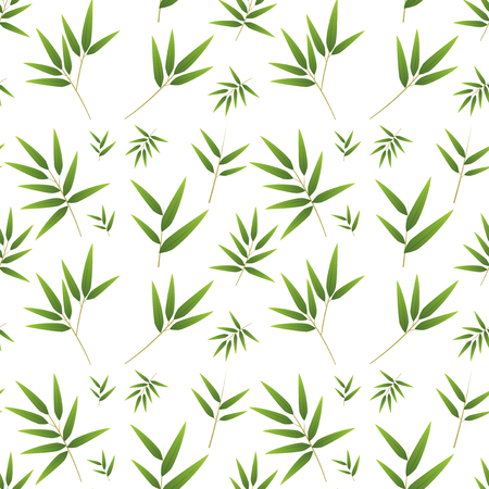 Seamless bamboo pattern on white illustrationのイラスト素材