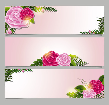 Three rectangle banner with pink roses illustrationのイラスト素材