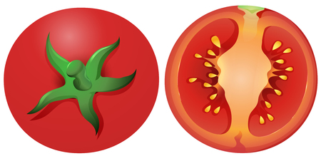 Fresh tomato with whole and half cut illustration.のイラスト素材