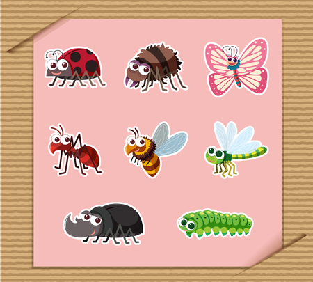 Sticker set of types of insectsのイラスト素材