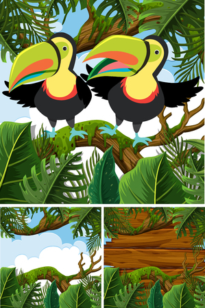 Forest scenes with toucan birds illustrationのイラスト素材