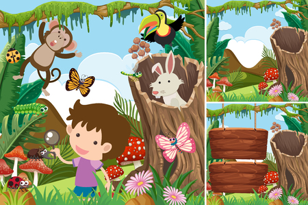 Three forest scenes with boy and animals illustrationのイラスト素材