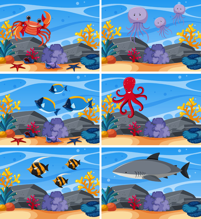 Six underwater scenes with sea animals, vector illustration.のイラスト素材