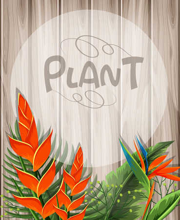 Background template with bird of paradise flowers illustrationのイラスト素材