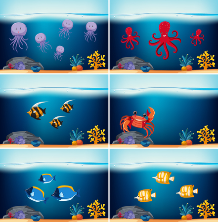 Six underwater scenes with different sea animals illustrationのイラスト素材