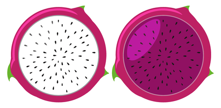 Dragon fruits in white and pink color illustrationのイラスト素材