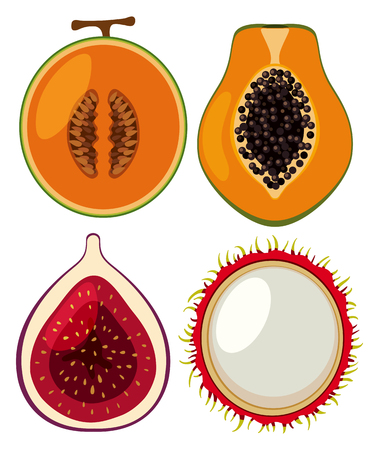 Four types of fresh fruits cut in half illustrationのイラスト素材