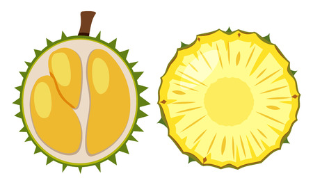 Durian and pineapple cut in half illustrationのイラスト素材
