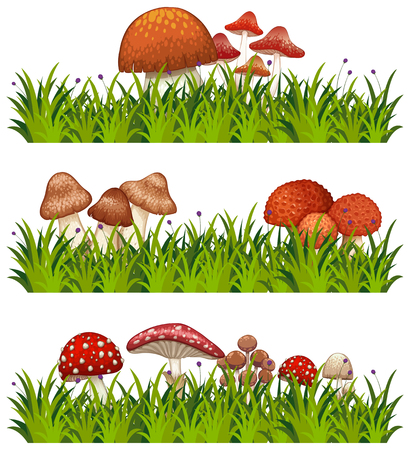 Three patterns of mushrooms and grass illustrationのイラスト素材