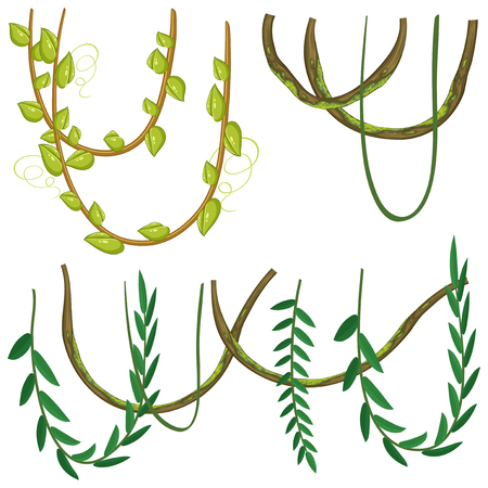Different types of plants on white background illustrationのイラスト素材
