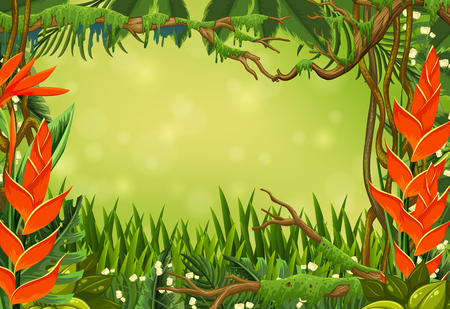 Border template with bird of paradise and grass illustrationのイラスト素材