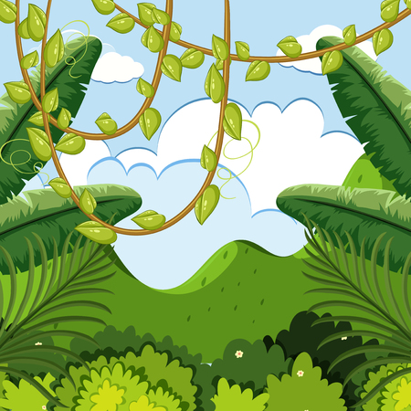 Background scene with trees in forest illustrationのイラスト素材