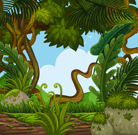 Background scene with trees in forest illustrationのイラスト素材