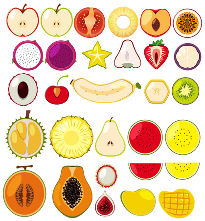 Different types of fruits cut in half illustrationのイラスト素材