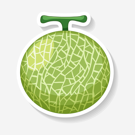 Sticker design for melon illustrationのイラスト素材